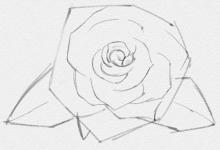 Как нарисовать розу: два варианта рисования